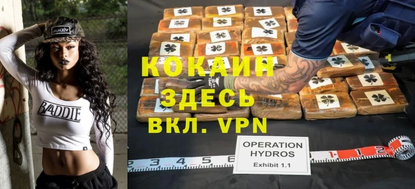 твердый Алексин