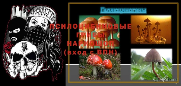 не бодяженный Алзамай