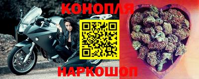 дживик Шелехов