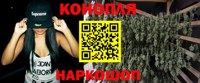 дживик Шелехов