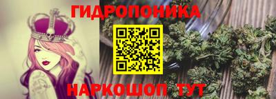 дживик Шебекино