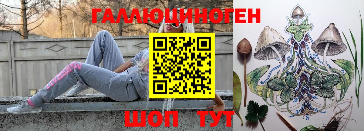 Псилоцибиновые грибы GOLDEN TEACHER Асино